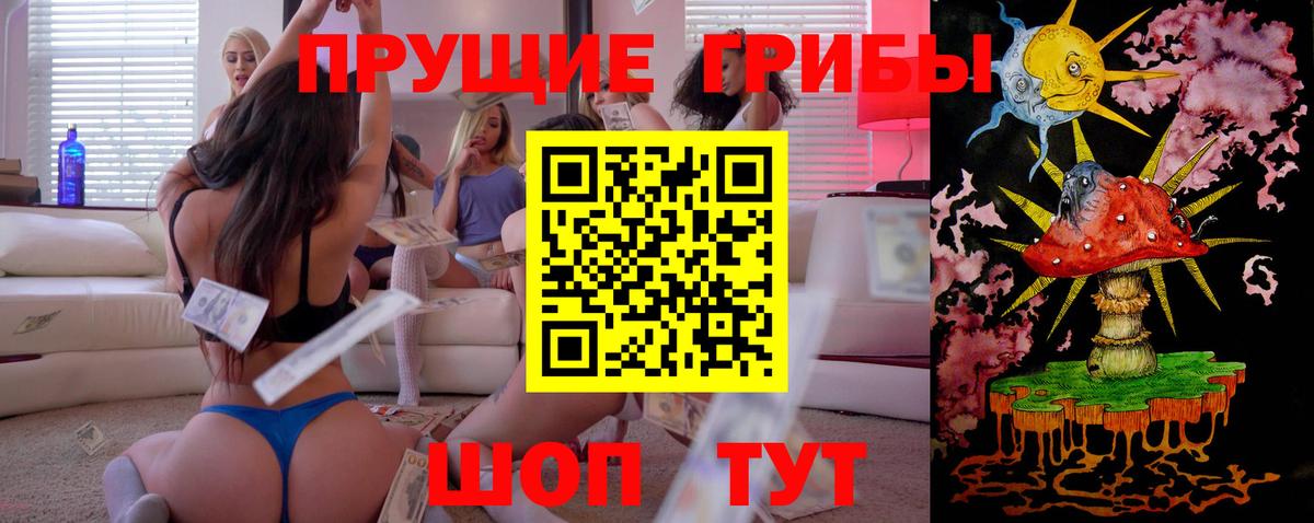 Псилоцибиновые грибы GOLDEN TEACHER Котовск